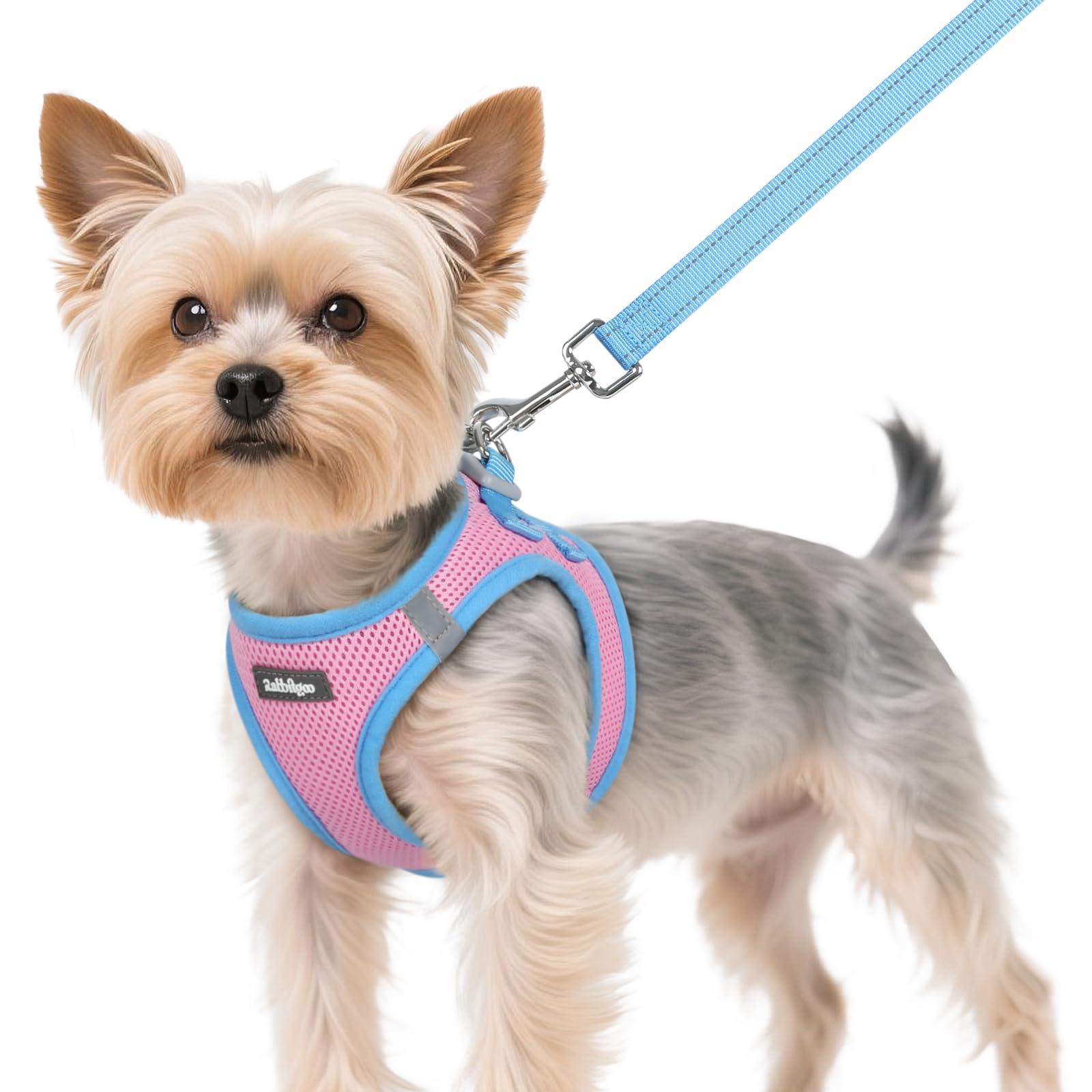Rabbitgoo dog harness XS pink step-in design for quick, comfortable daily walks.
