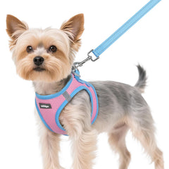 Rabbitgoo dog harness XS pink step-in design for quick, comfortable daily walks.