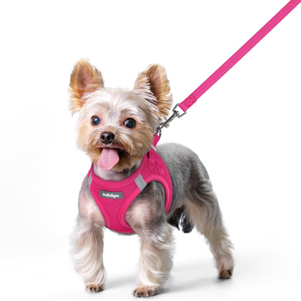 rabbitgoo dog harness xs step-in design for quick, comfortable on-off walks.