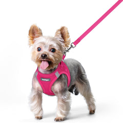 rabbitgoo dog harness xs step-in design for quick, comfortable on-off walks.