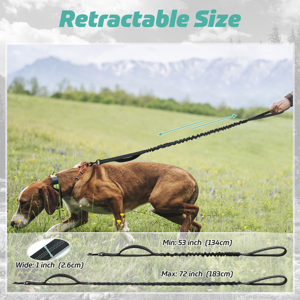 Rabbitgoo leash features quick-release rotating clasp to prevent tangles.