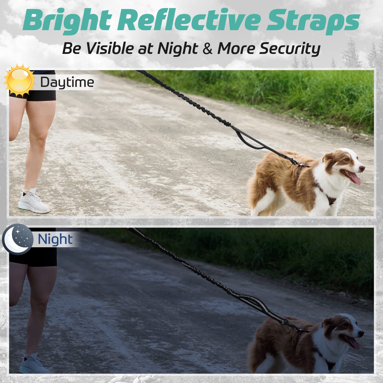 Rabbitgoo leash with reinforced stitching for reliable training sessions.