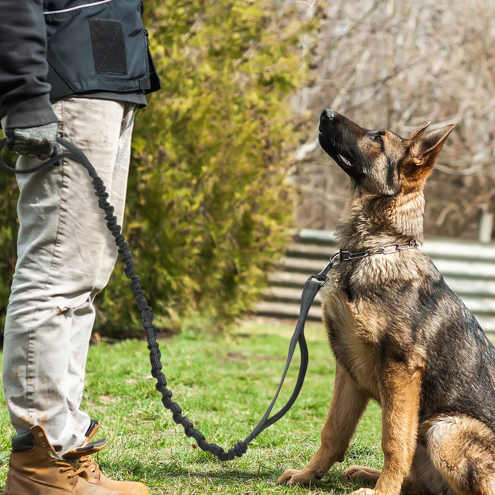 Rabbitgoo leash keeps dogs safely controlled in busy environments.