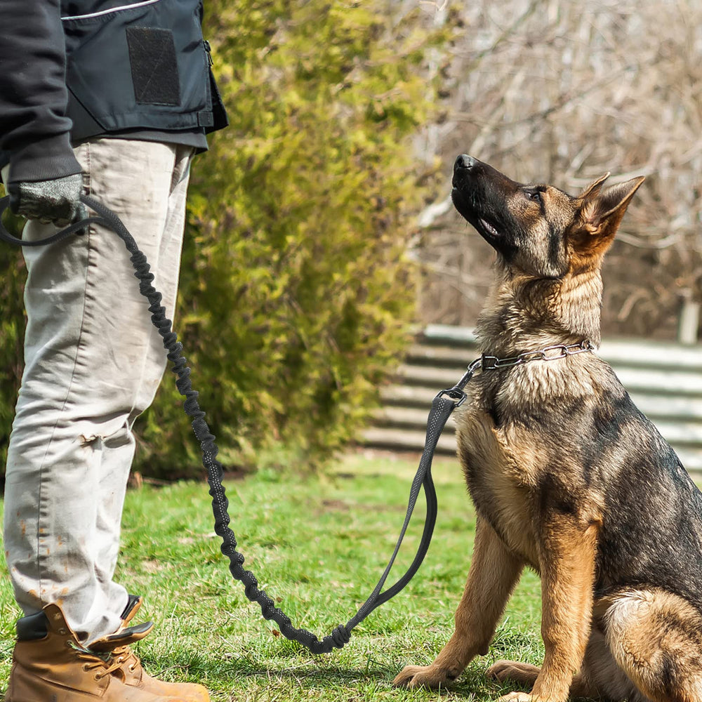 Rabbitgoo leash keeps dogs safely controlled in busy environments.