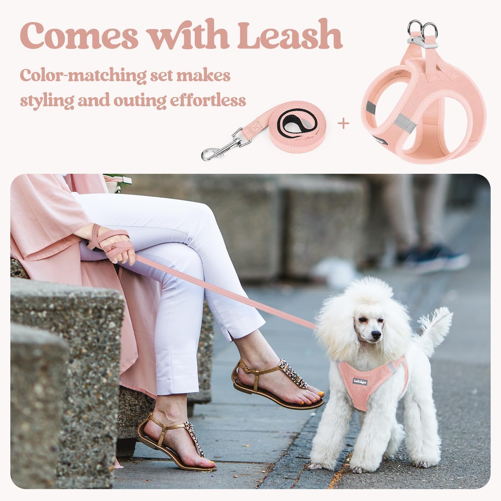 Rabbitgoo easy clip buckle harness for quick fittings