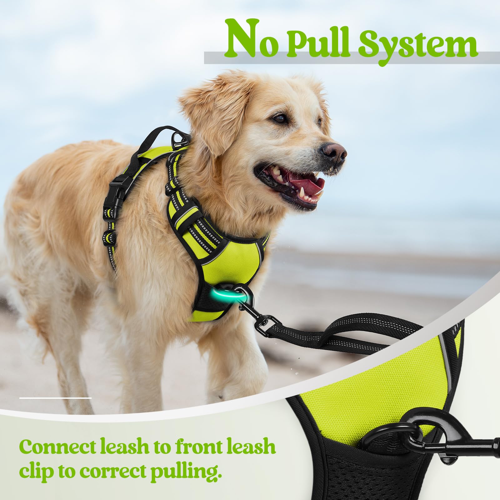 Rabbitgoo easy-control handle harness for quick, confident guidance during walks.