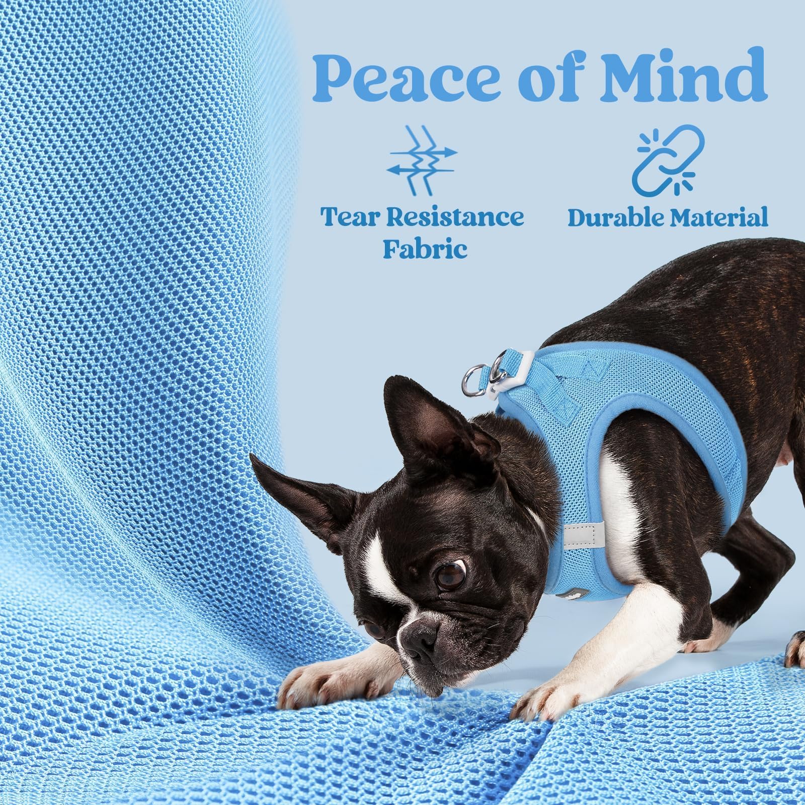 Rabbitgoo easy-on design helps busy owners outfit dogs in seconds.