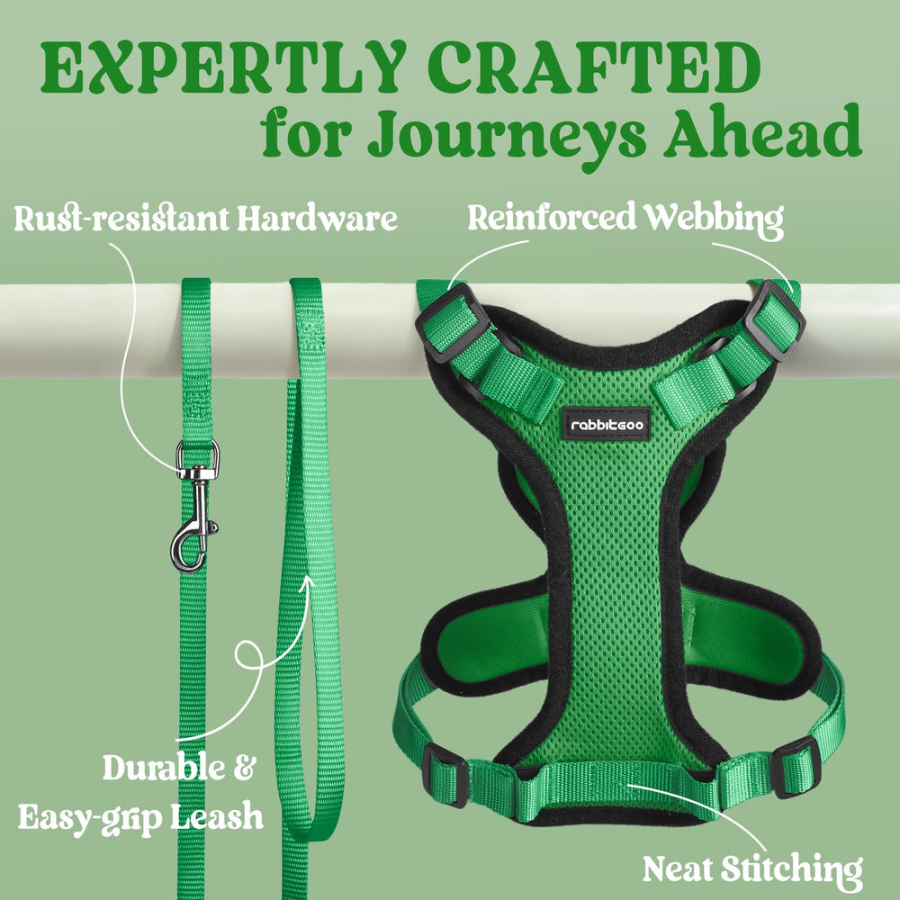 Rabbitgoo easy-on-off harness design simplifies dressing your cat.