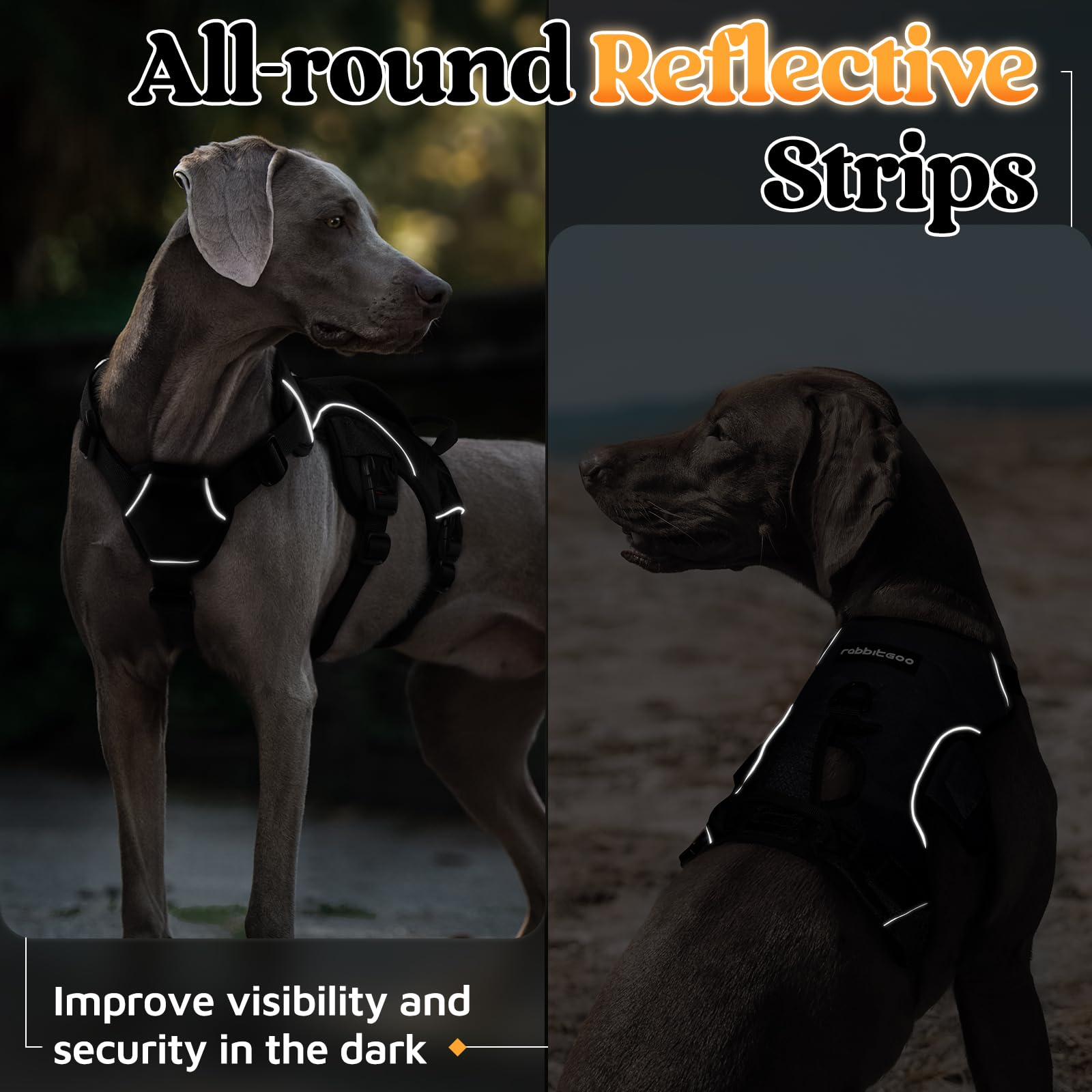 Rabbitgoo quick-release buckles enable fast easy on-off wearing.