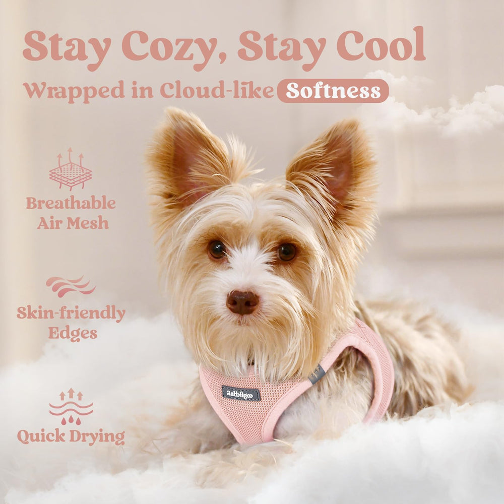 Rabbitgoo easy-to-use step-in design pink S for quick fitting