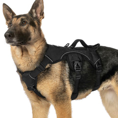 Rabbitgoo Escape Proof Harness with Large Handle: sturdy lifting grip for assistive walks.