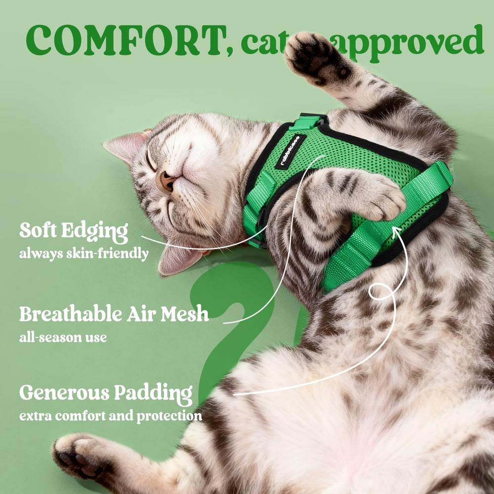 Rabbitgoo escape-proof harness with sturdy buckles for peace of mind.