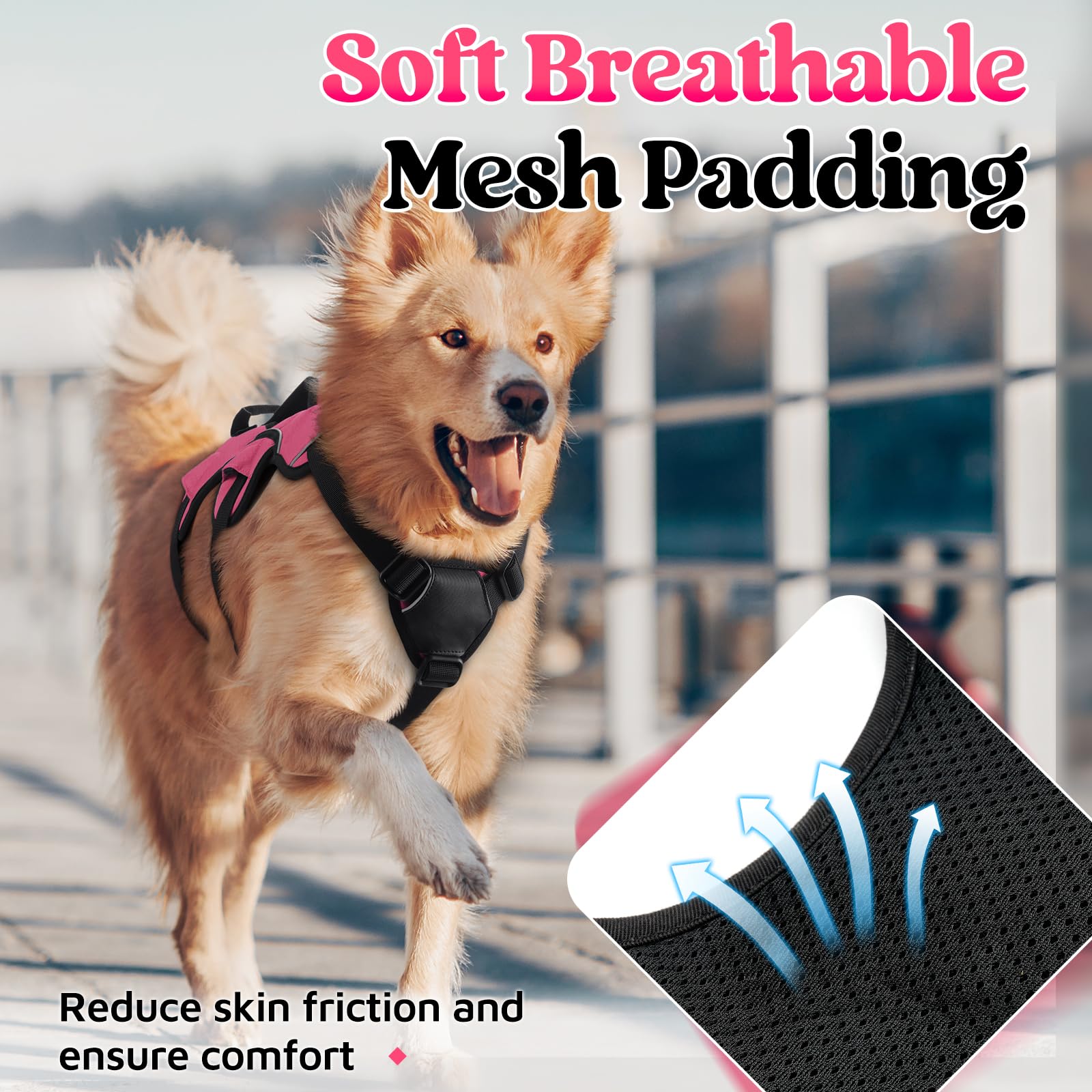 Rabbitgoo escape-proof chest and belly straps help prevent escapes during active play