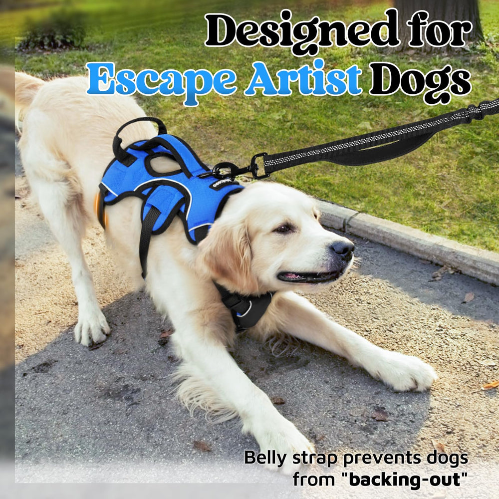 rabbitgoo escape-proof dog harness blue back view with three chest straps for escape prevention