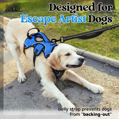 rabbitgoo escape-proof dog harness blue back view with three chest straps for escape prevention