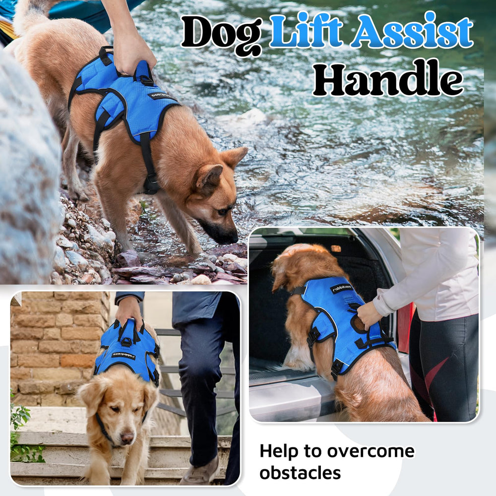 Rabbitgoo harness with five adjustable straps enables snug, growth-friendly fit.