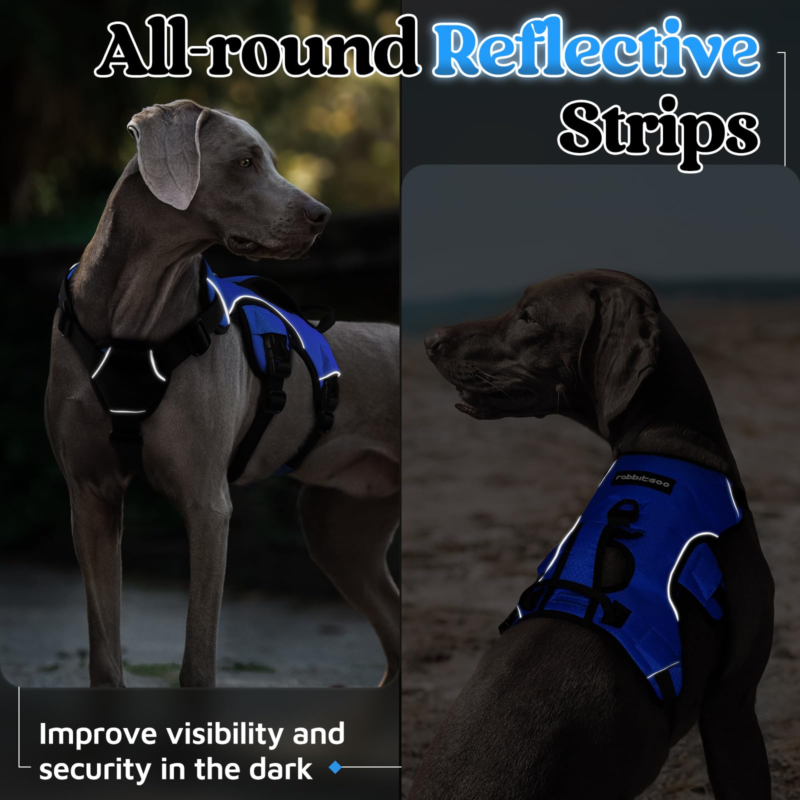 Rabbitgoo harness in use during a walk shows secure support for large dogs.