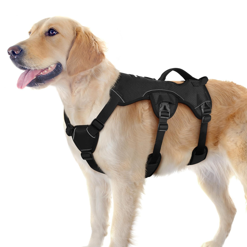 Rabbitgoo escape proof dog harness lift handle adds secure assistance during obstacle navigation.