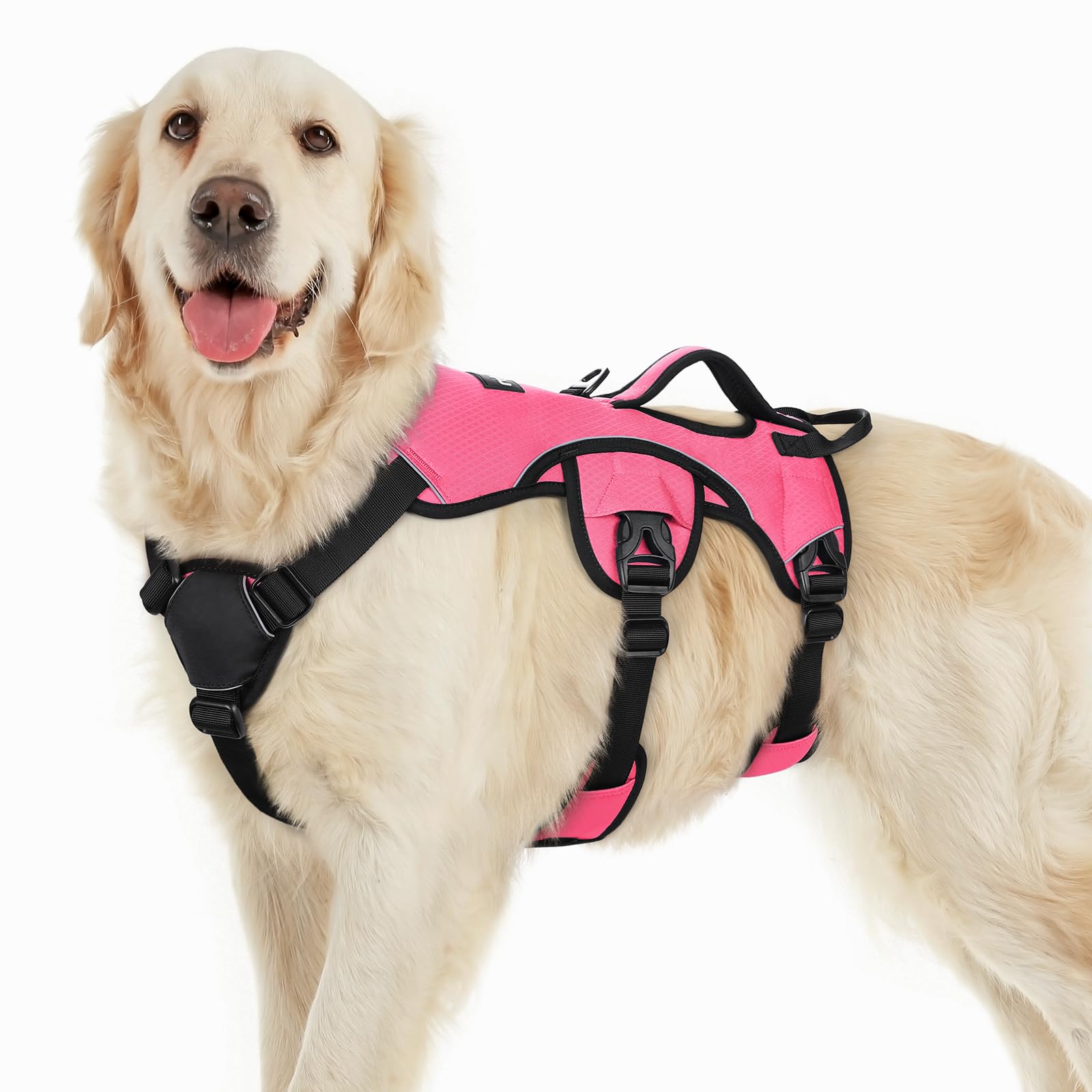 Rabbitgoo escape-proof dog harness with padded handle for lifting and obstacle assist