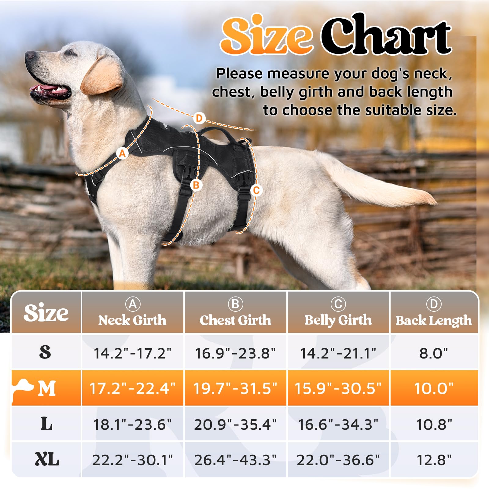 rabbitgoo Escape Proof Harness adjustable straps for growth and different builds