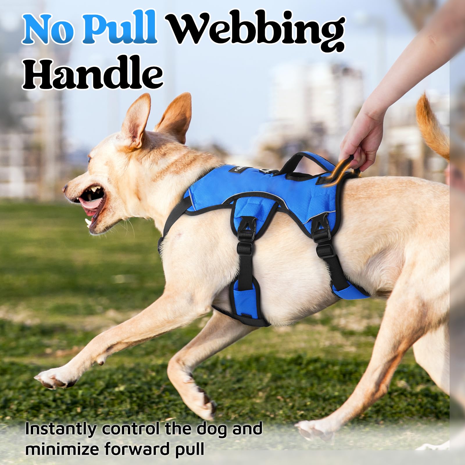 rabbitgoo five-point adjustable straps harness blue illustrates secure fit and full mobility