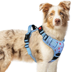 Rabbitgoo floral blue dog harness with padding for all-day comfort during walks.