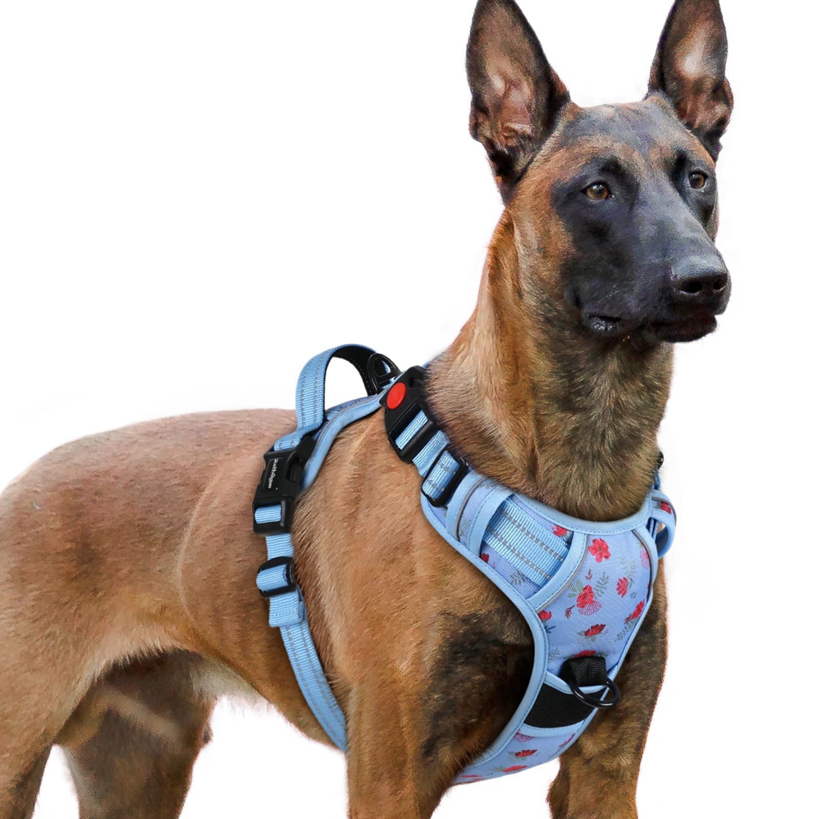rabbitgoo floral blue XL dog harness side view for daily comfort