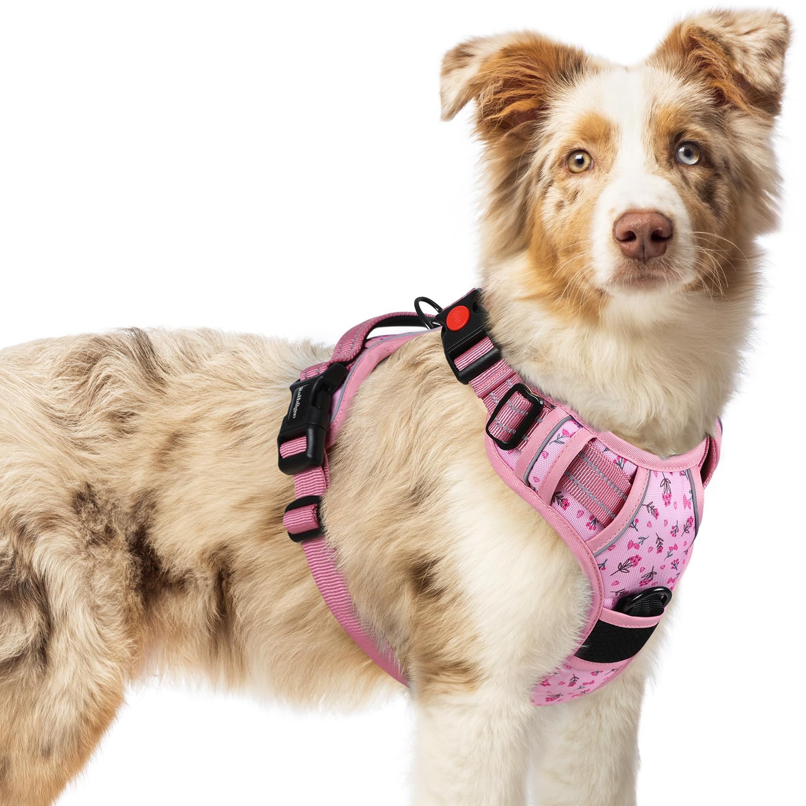 rabbitgoo floral pink dog harness closeup shows durable fabric for daily walks.
