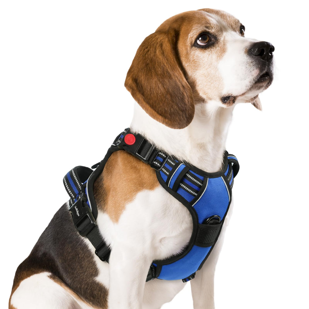 Arnés Rabbitgoo para perro mediano con tres hebillas rápidas para colocación fácil.