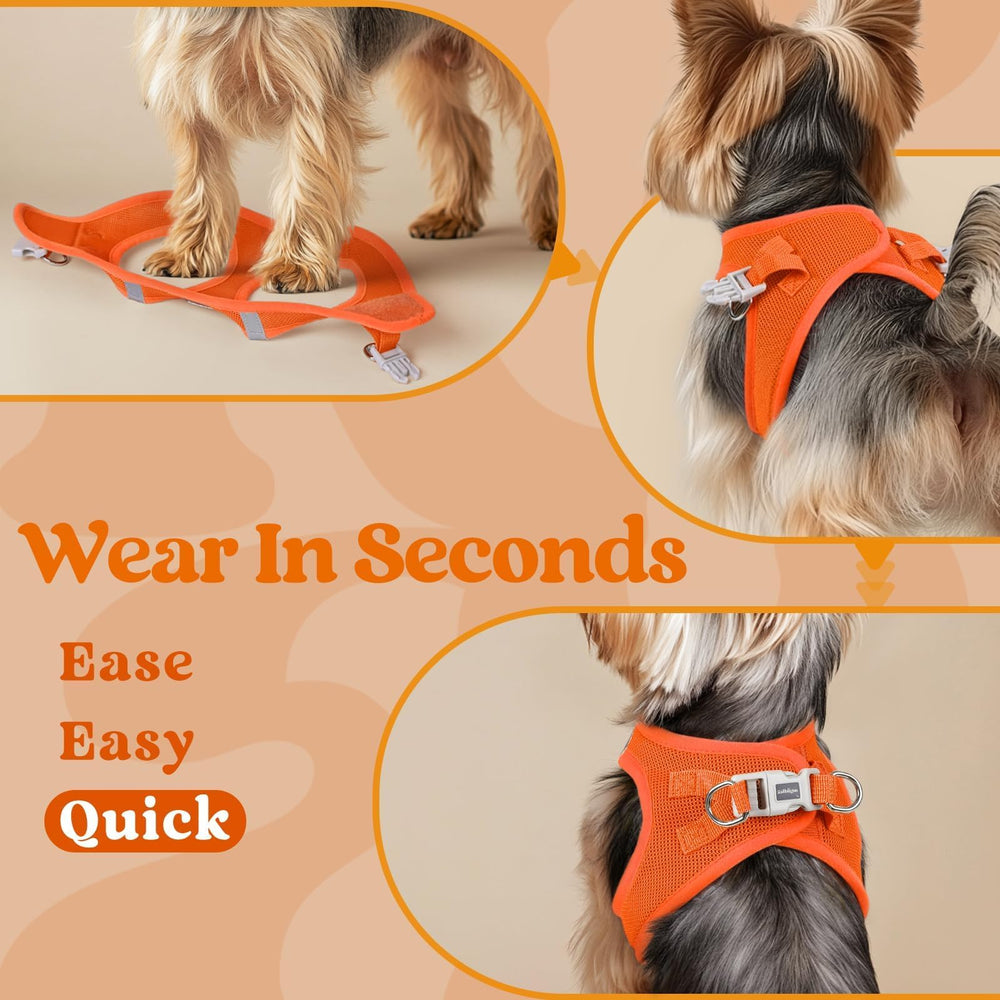 Rabbitgoo sturdy D-ring for secure leash attachment