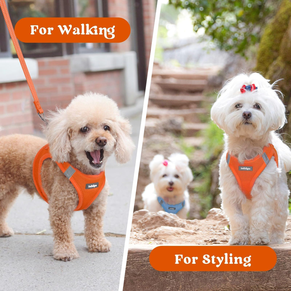 Rabbitgoo harness ideal for walks, travel, or playdates