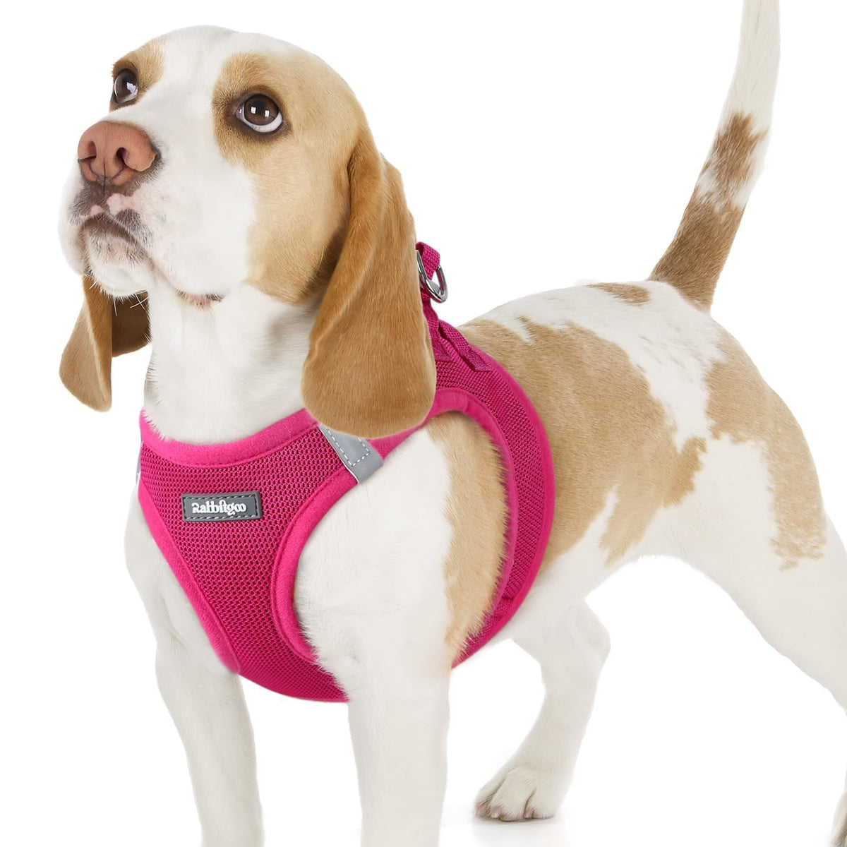 arnés rabbitgoo rose red malla suave para paseo cómodo.