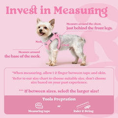 Rabbitgoo harness safety buckle close-up showing secure fit