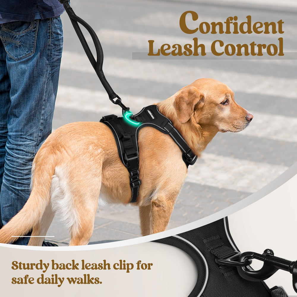 Rabbitgoo top handle for extra control during training