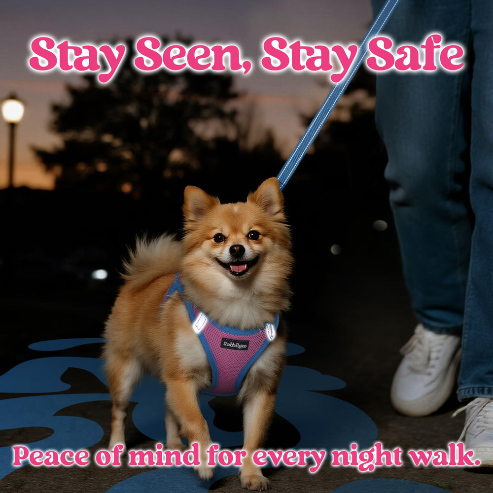 Rabbitgoo harness XS reflective strips improve visibility during evening strolls.