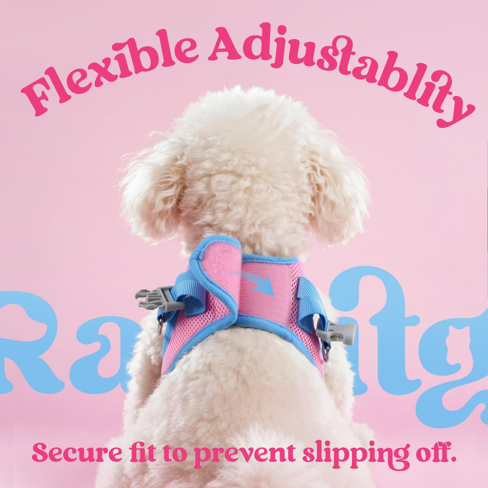 Rabbitgoo harness XS secure buckle and D-rings ensure added security.