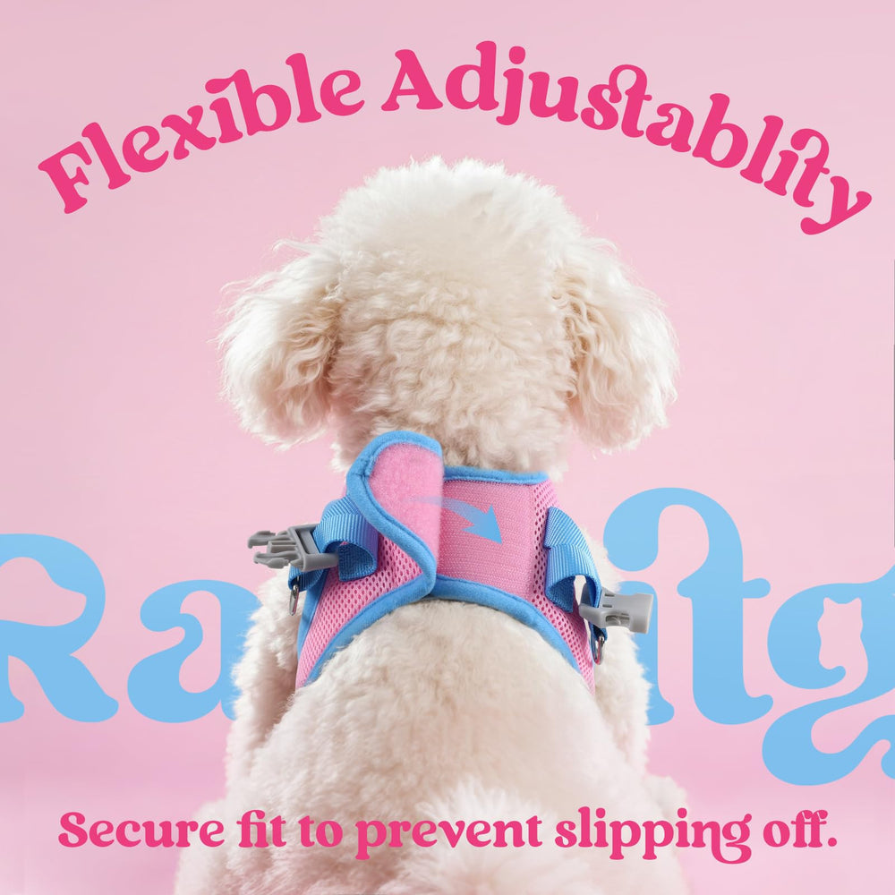 Rabbitgoo harness XS secure buckle and D-rings ensure added security.