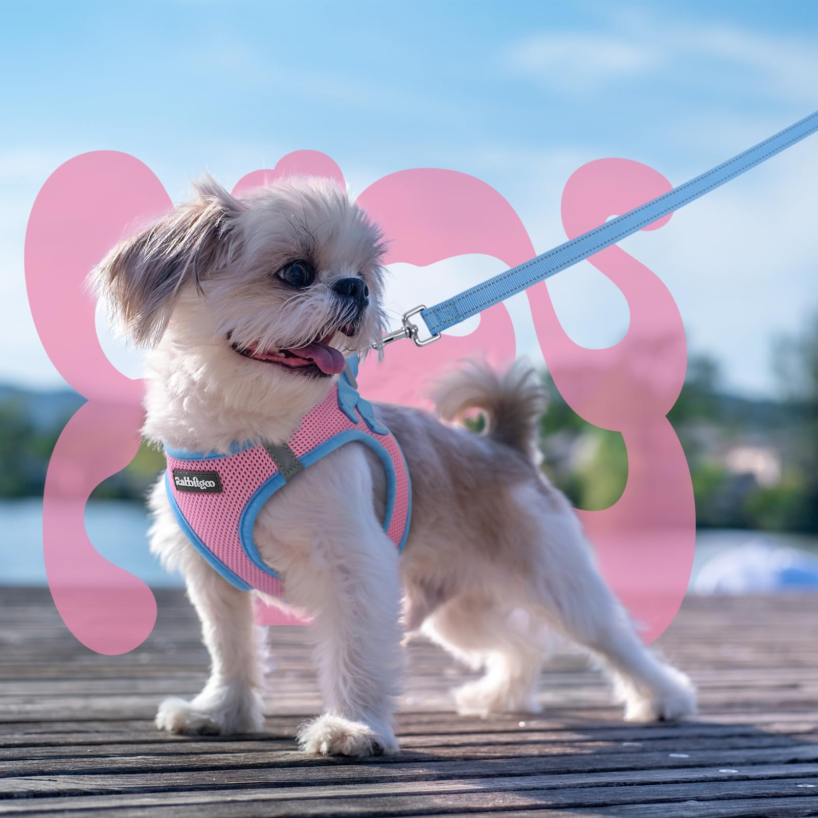 Rabbitgoo harness XS size guide image helps you fit accurately.