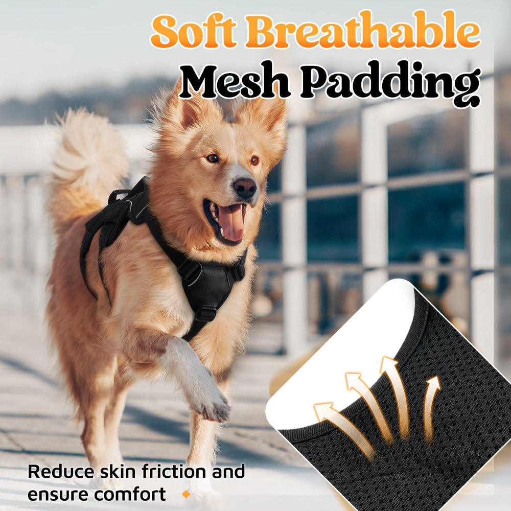 Rabbitgoo heavy-duty polyester webbing delivers daily durability.