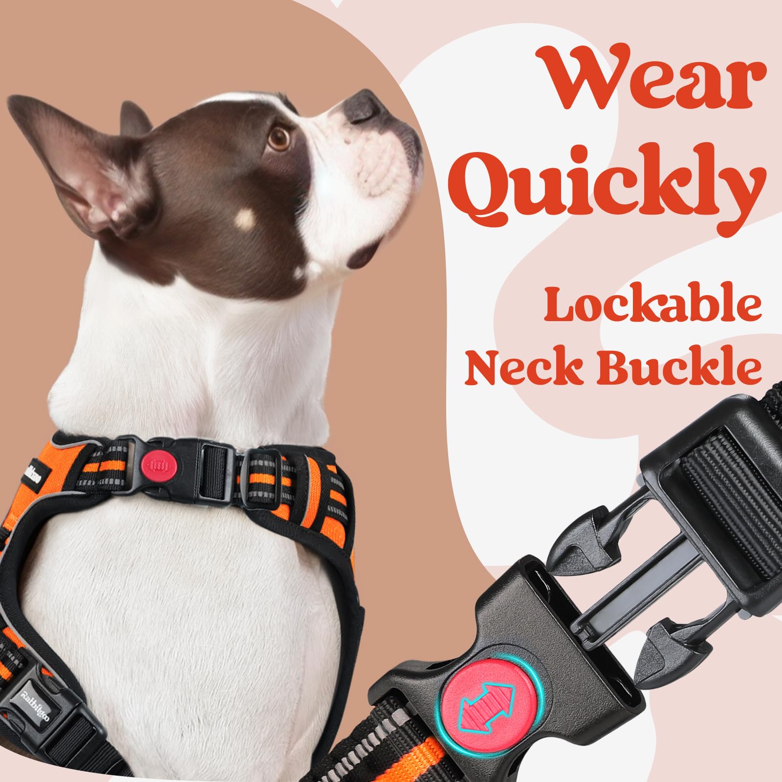 Rabbitgoo large dog harness showing adjustable straps for a secure, growing fit.