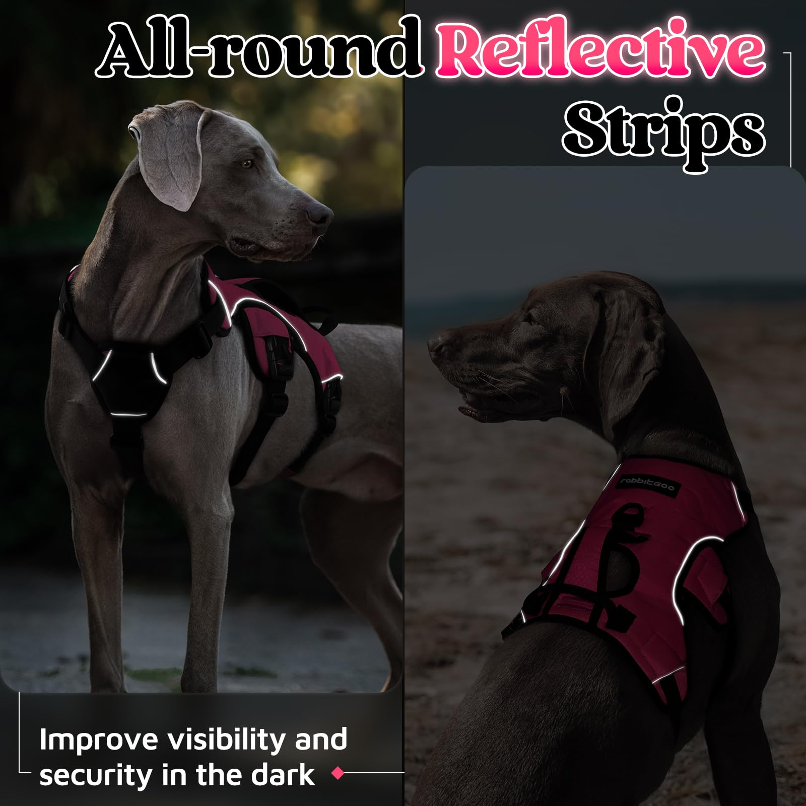 Rabbitgoo large-dog harness suits training and daily walks with control