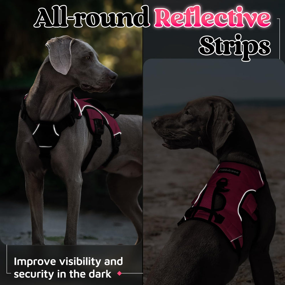 Rabbitgoo large-dog harness suits training and daily walks with control