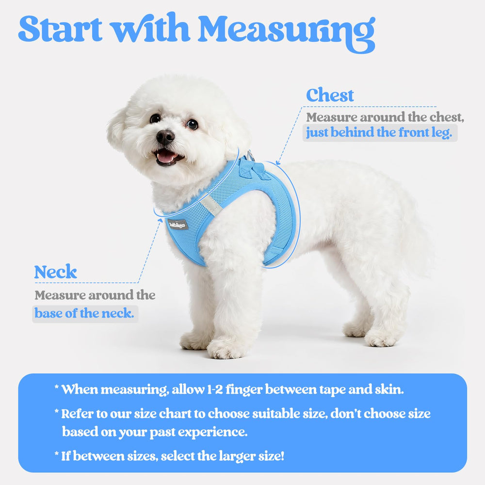 Rabbitgoo leash 5-12ft reflective for safer evening strolls with your pup.