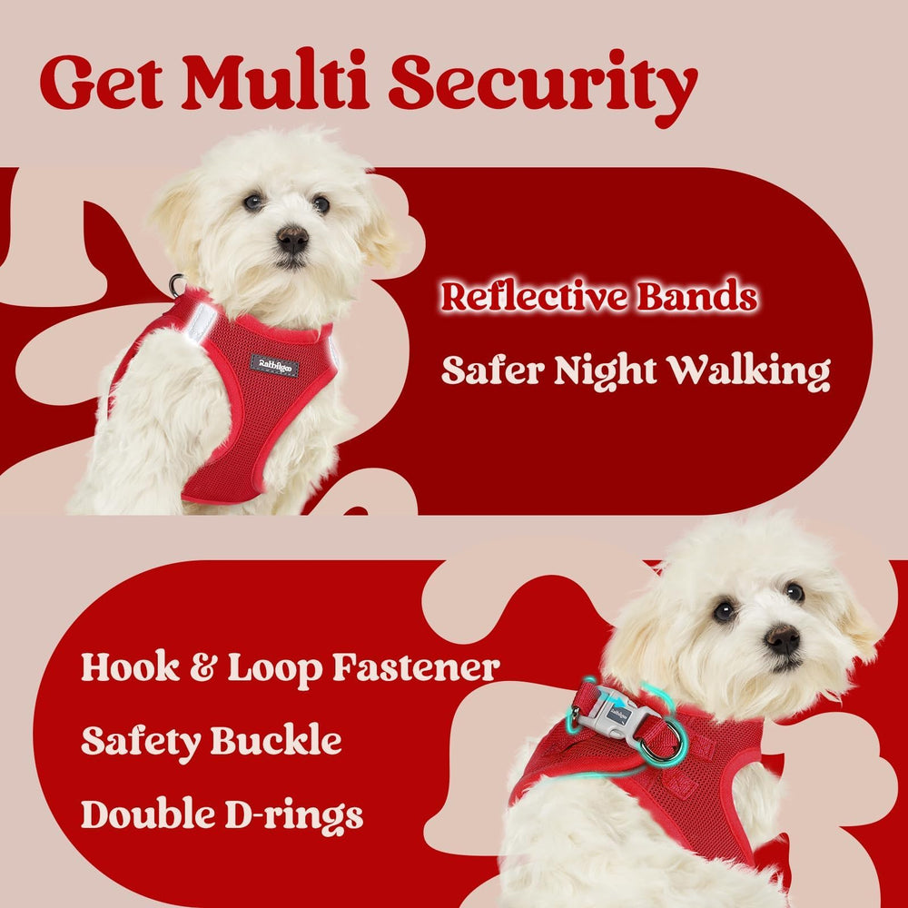 Rabbitgoo leash attachment loop with sturdy D-ring for stable control