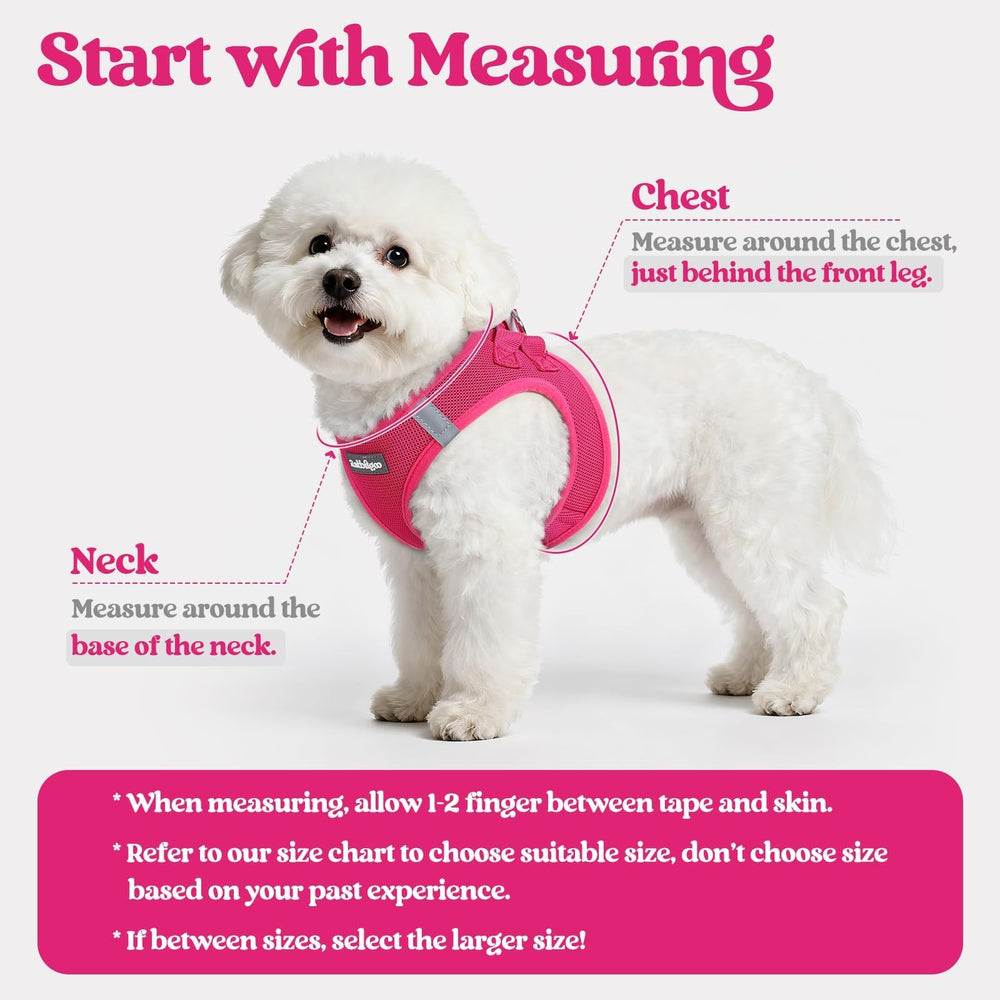Rabbitgoo leash with reflective bands for safer evening strolls
