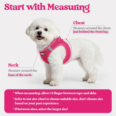 Rabbitgoo leash with reflective bands for safer evening strolls