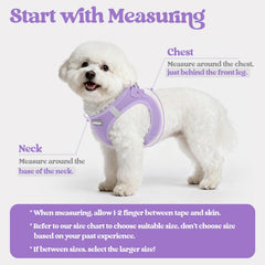 Rabbitgoo leash set with reflective bands for visibility