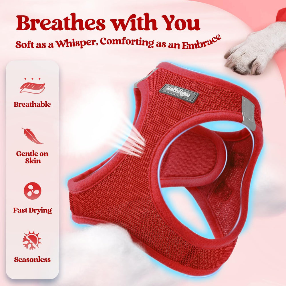 Rabbitgoo leash XXL red 5.12ft with anti-tangle clip for smooth walks.