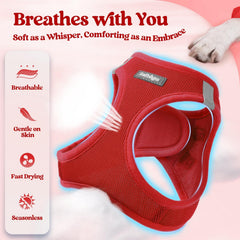 Rabbitgoo leash XXL red 5.12ft with anti-tangle clip for smooth walks.