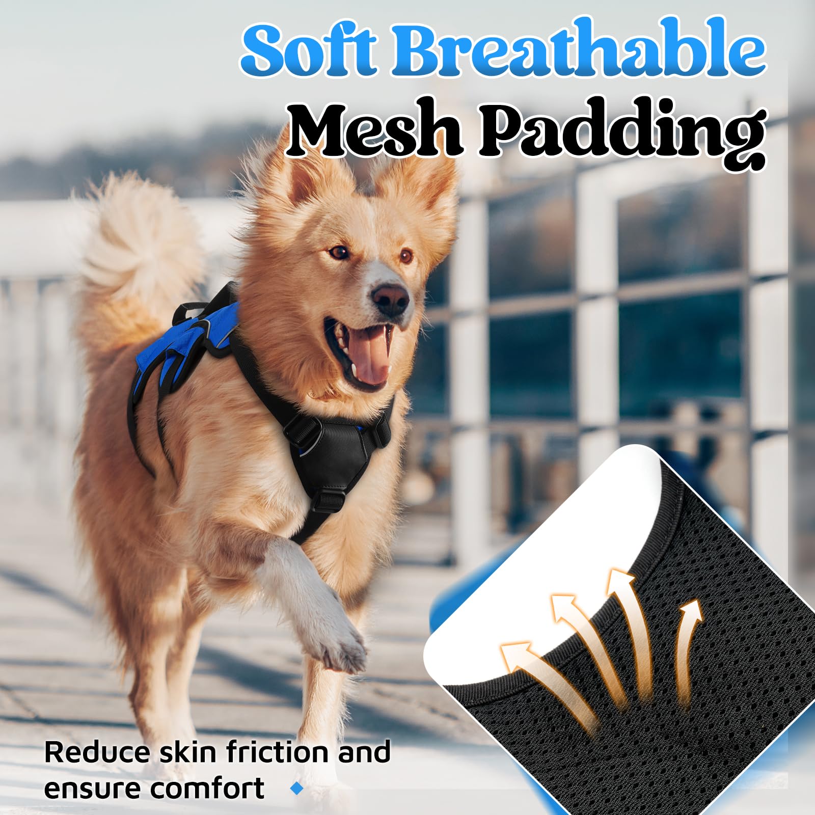 rabbitgoo lift-handle dog harness blue demonstrates easy assist during stairs or car trips